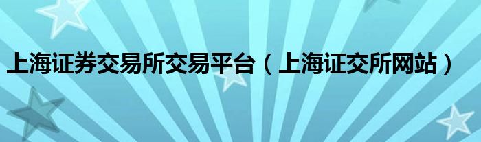 上海证券交易所交易平台（上海证交所网站）