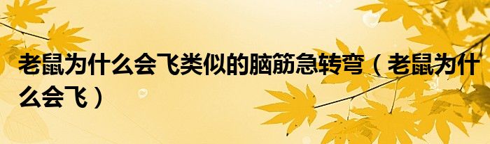 老鼠为什么会飞类似的脑筋急转弯（老鼠为什么会飞）