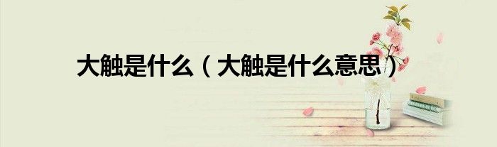 大触是什么(大触是什么意思)