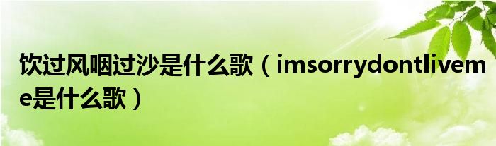 饮过风咽过沙是什么歌(imsorrydontliveme是什么歌)