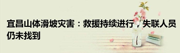 宜昌山体滑坡灾害:救援持续进行,失联人员仍未找到