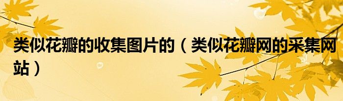 类似花瓣的收集图片的(类似花瓣网的采集网站)