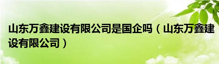 山东万鑫建设有限公司是国企吗(山东万鑫建设有限公司)