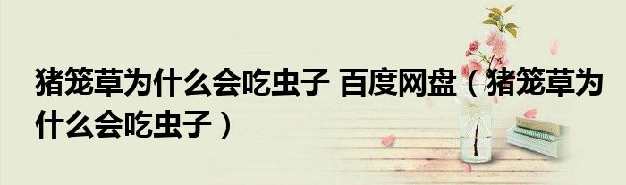 猪笼草为什么会吃虫子 百度网盘(猪笼草为什么会吃虫子)