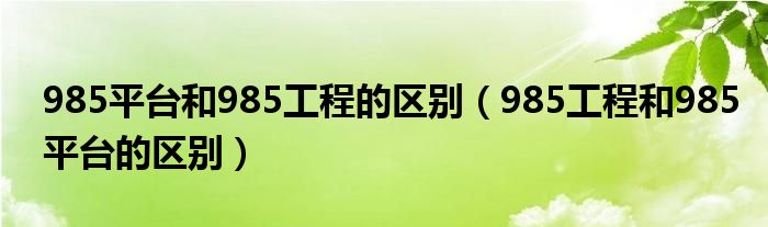 985平台和985工程的区别(985工程和985平台的区别)