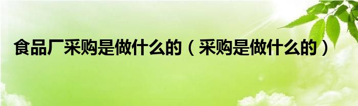 食品厂采购是做什么的(采购是做什么的)