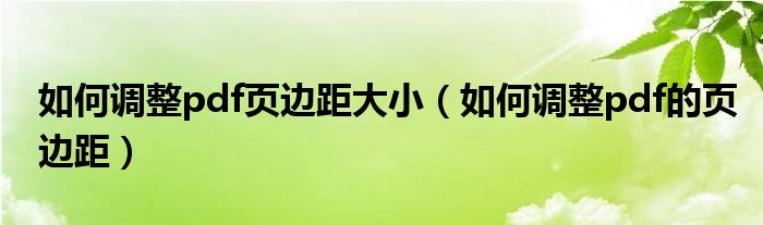 如何调整pdf页边距大小(如何调整pdf的页边距)
