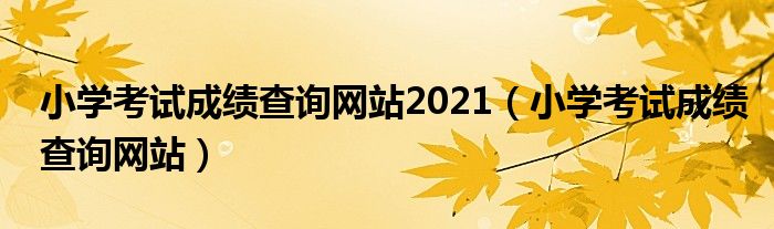 小学考试成绩查询网站2021(小学考试成绩查询网站)