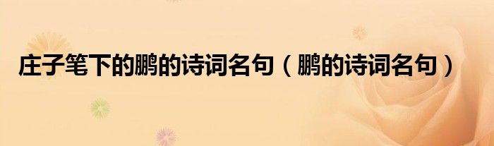 庄子笔下的鹏的诗词名句(鹏的诗词名句)
