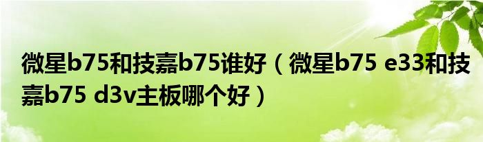 微星b75和技嘉b75谁好(微星b75 e33和技嘉b75 d3v主板哪个好)