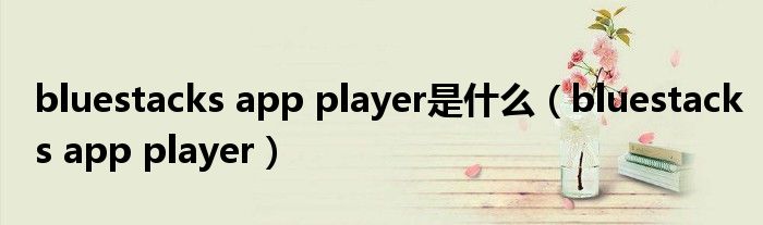 bluestacks app player是什么(bluestacks app player)