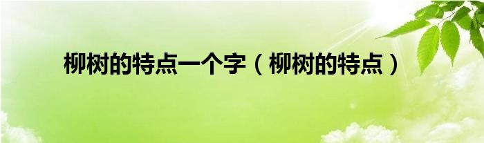 柳树的特点一个字(柳树的特点)