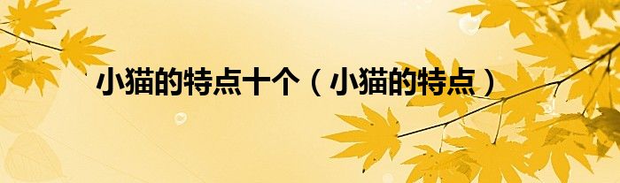 小猫的特点十个(小猫的特点)