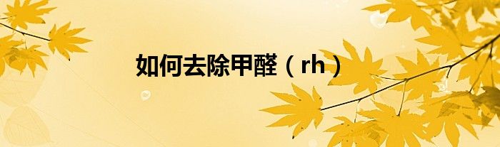 如何去除甲醛（rh）