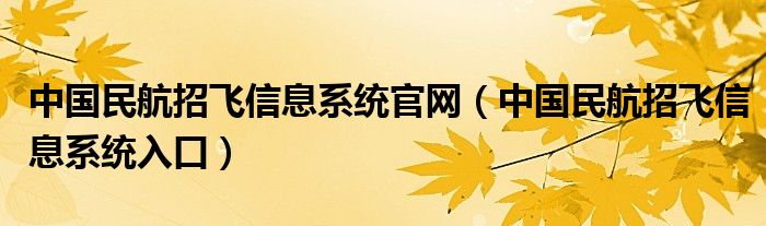 中国民航招飞信息系统官网(中国民航招飞信息系统入口)