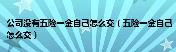 公司没有五险一金自己怎么交(五险一金自己怎么交)