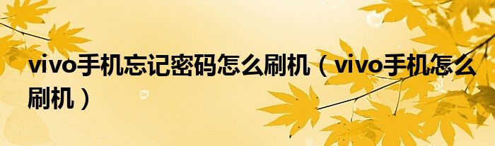 vivo手机忘记密码怎么刷机(vivo手机怎么刷机)