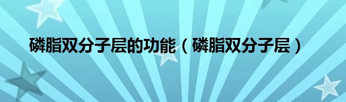 磷脂双分子层的功能(磷脂双分子层)