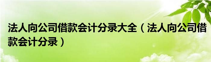 法人向公司借款会计分录大全(法人向公司借款会计分录)