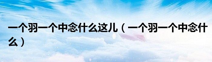 一个羽一个中念什么这儿(一个羽一个中念什么)
