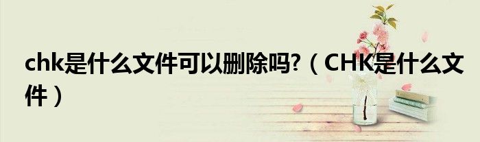 chk是什么文件可以删除吗?(CHK是什么文件)