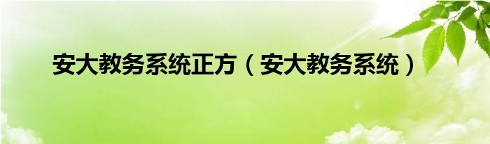 安大教务系统正方(安大教务系统)