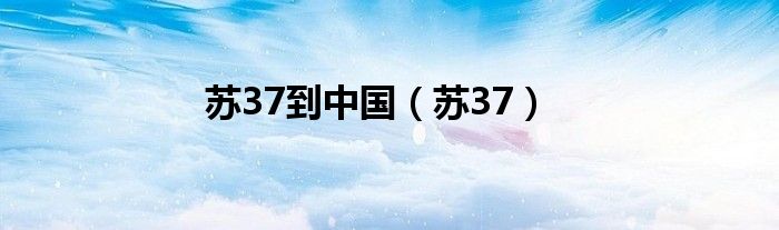 苏37到中国(苏37)