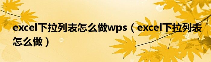 excel下拉列表怎么做wps(excel下拉列表怎么做)