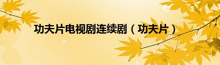 功夫片电视剧连续剧(功夫片)