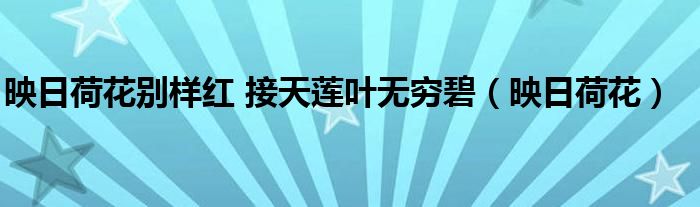 映日荷花别样红 接天莲叶无穷碧(映日荷花)