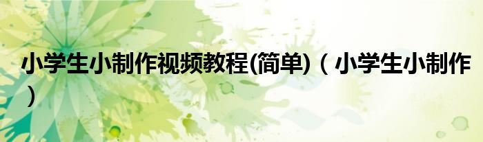 小学生小制作视频教程(简单)(小学生小制作)