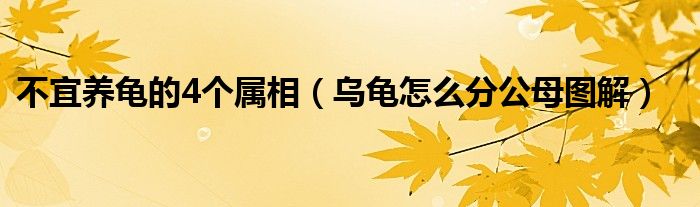 不宜养龟的4个属相(乌龟怎么分公母图解)