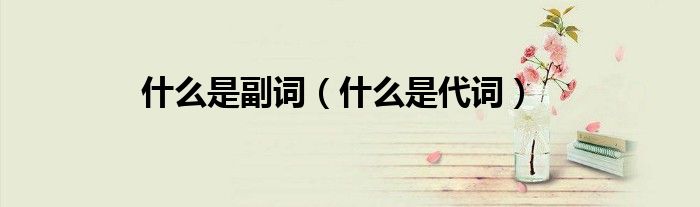 什么是副词（什么是代词）
