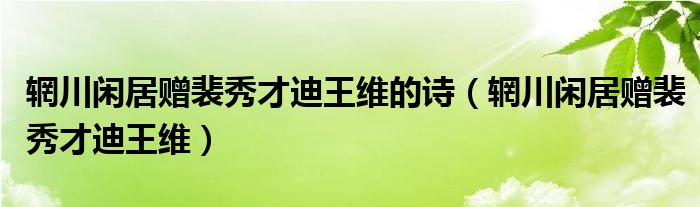 辋川闲居赠裴秀才迪王维的诗(辋川闲居赠裴秀才迪王维)