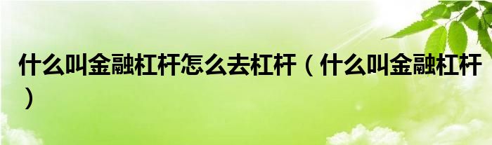什么叫金融杠杆怎么去杠杆(什么叫金融杠杆)