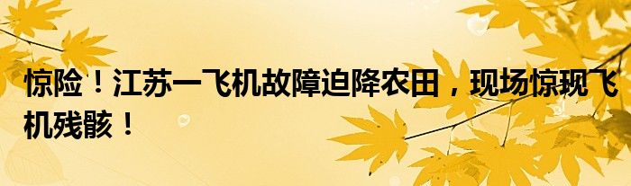 惊险!江苏一飞机故障迫降农田,现场惊现飞机残骸!