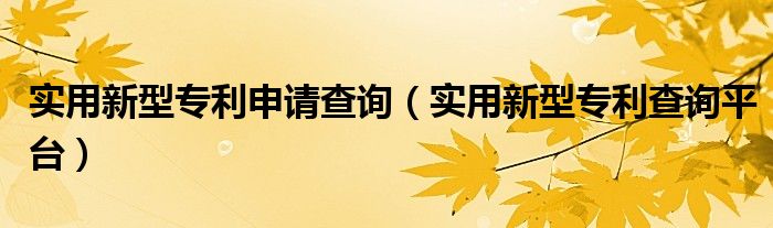 实用新型专利申请查询(实用新型专利查询平台)