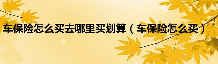 车保险怎么买去哪里买划算(车保险怎么买)