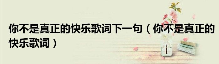 你不是真正的快乐歌词下一句(你不是真正的快乐歌词)