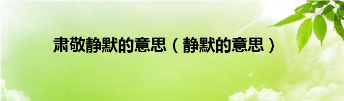 肃敬静默的意思(静默的意思)