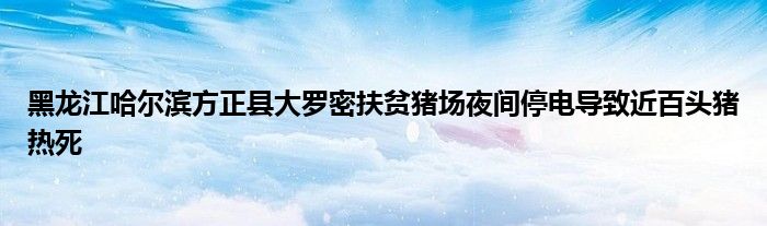 黑龙江哈尔滨方正县大罗密扶贫猪场夜间停电导致近百头猪热死