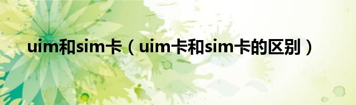 uim和sim卡(uim卡和sim卡的区别)