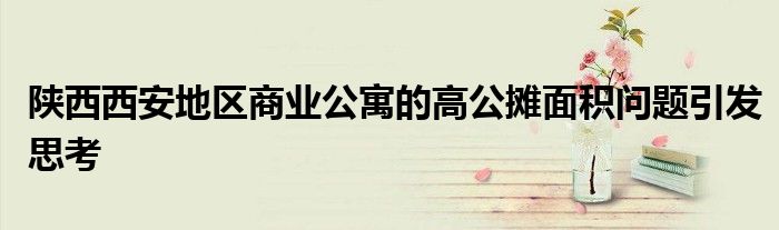 陕西西安地区商业公寓的高公摊面积问题引发思考