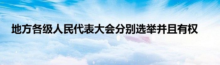 地方各级人民代表大会分别选举并且有权