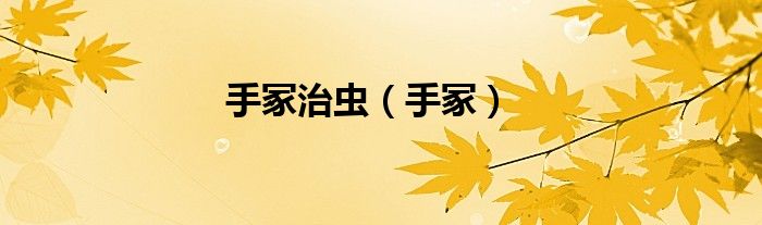 手冢治虫(手冢)