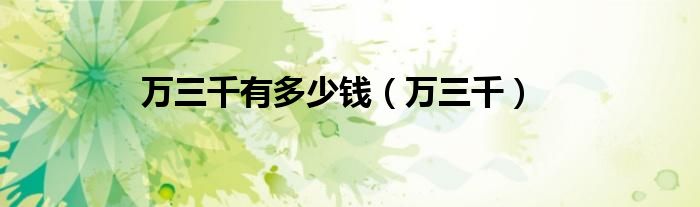 万三千有多少钱(万三千)