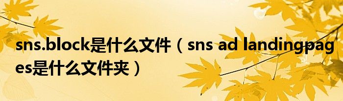 sns.block是什么文件(sns ad landingpages是什么文件夹)