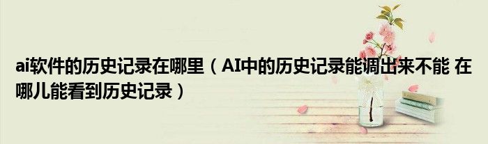 ai软件的历史记录在哪里(AI中的历史记录能调出来不能 在哪儿能看到历史记录)