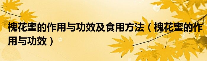 槐花蜜的作用与功效及食用方法(槐花蜜的作用与功效)