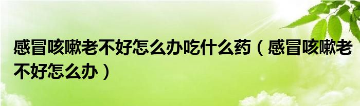 感冒咳嗽老不好怎么办吃什么药(感冒咳嗽老不好怎么办)